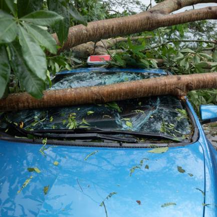image (3) Broken tree fallen on top of parking car,damaged car after super typhoon Mangkhut in China