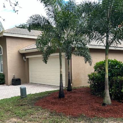 tree installation tree installation